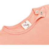 Baby Girls' Basic Long Sleeve Round Neck T-Shirt