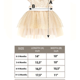 Baby Sparkling Polka Dot Tulle Dress Set