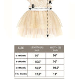 Baby Sparkling Polka Dot Tulle Dress Set