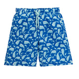 Lilax Boys Swim Trunks Toddler Boy Swim Shorts Bathing Suit Swimwear