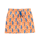 Boys Swim Trunks Toddler Swimsuit Swim Short
