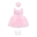 Baby Girls' Lace Floral Embroidered Dress Set