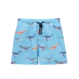 Boys Swim Trunks Toddler Swimsuit Swim Short