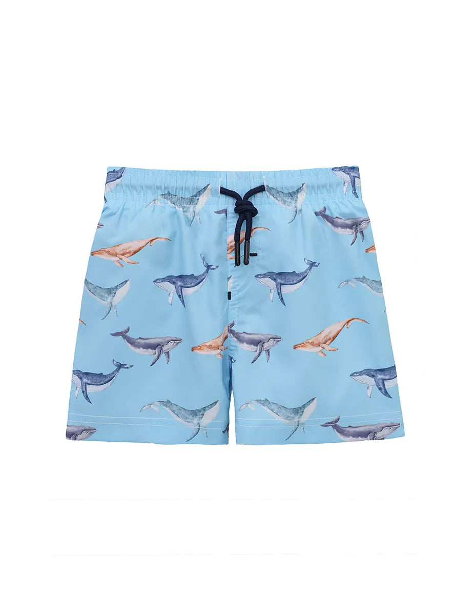 Boys & Toddler Swimsuit Swim Short
