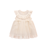 Baby Embroidered Lace Ribbon Tulle Dress