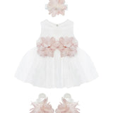 Baby 3-Piece Floral Tulle Dress Set