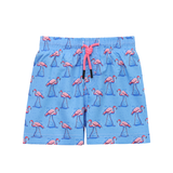 Boys Swim Trunks Toddler Swimsuit Swim Short