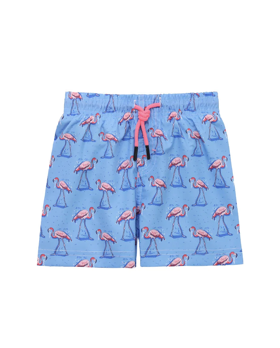 Boys & Toddler Swimsuit Swim Short