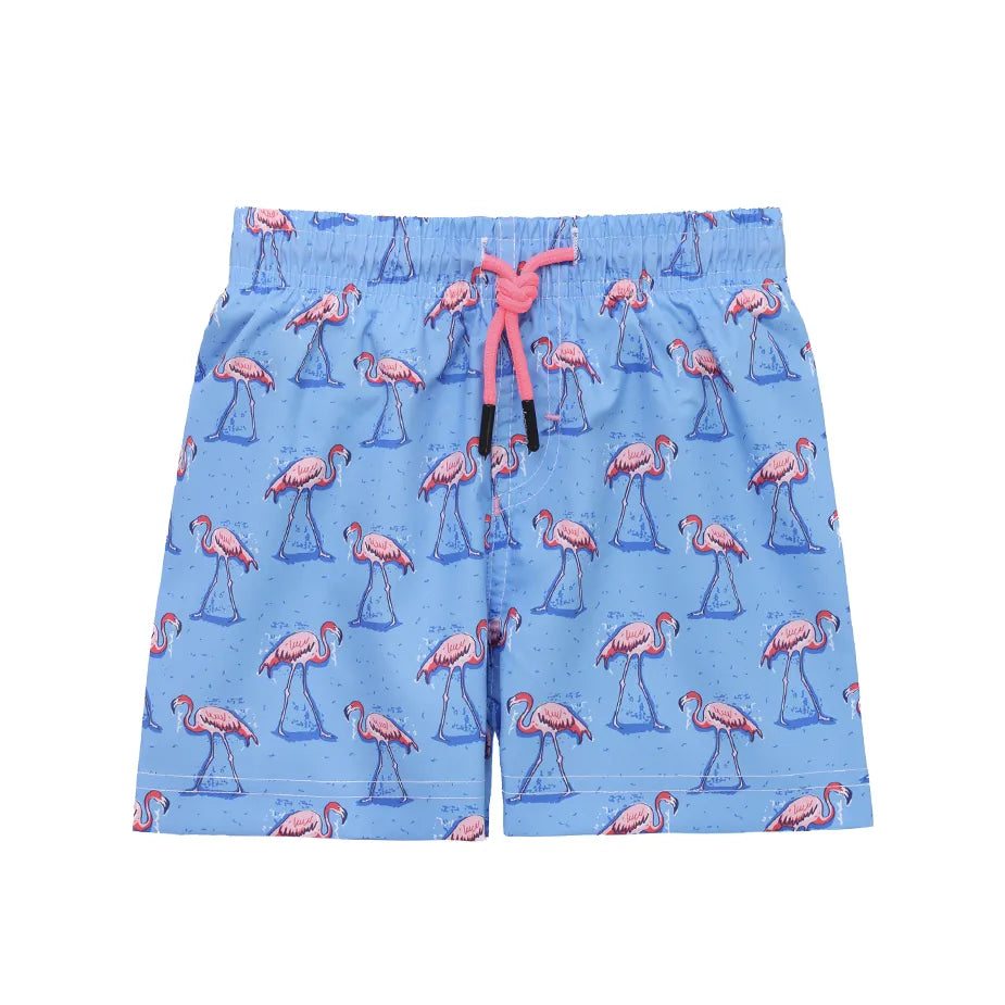 Boys & Toddler Swimsuit Swim Short