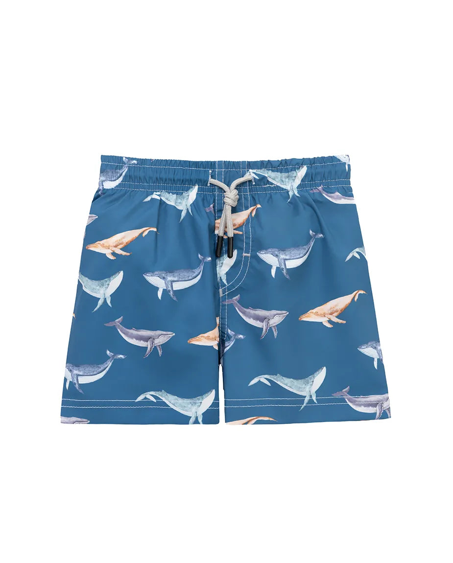 Boys & Toddler Swimsuit Swim Short