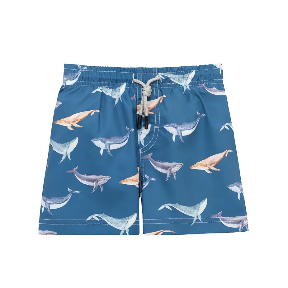 Boys & Toddler Swimsuit Swim Short