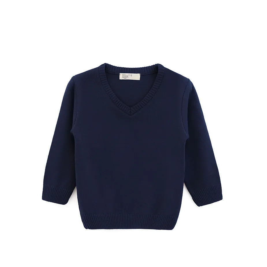 Toddler & Little Boys Classic V-Neck Knit Sweater