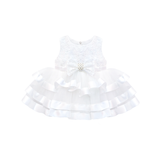 Baby Embellished Lace Detailed Tulle Gown Set