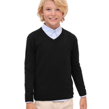 Toddler & Little Boys Classic V-Neck Knit Sweater