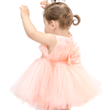 Baby Embellished Tulle Tutu Outfit Set