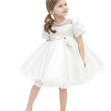 Toddler Sparkly Tulle Flower Detailed Party Dress