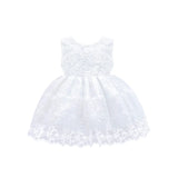 Baby Girls' Lace Floral Embroidered Dress Set
