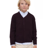Boys Classic Knit V-Neck Cardigan Sweater
