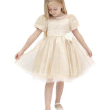 Toddler Sparkly Tulle Flower Detailed Party Dress