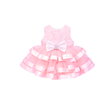 Baby Embellished Lace Detailed Tulle Gown Set