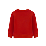 Boys Basic Crewneck Long Sleeve Pullover Cotton Kids Sweatshirt