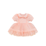 Christening Baptism Dress, Baby Girls' Lace Floral Embroidered Dress