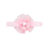 Baby Girls' Lace Floral Embroidered Christening Dress
