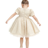 Toddler Sparkly Tulle Flower Detailed Party Dress