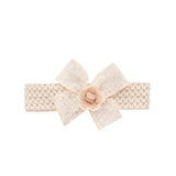 Baby Girl Long Sleeve Princess Dress with Headband