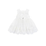 Newborn Lace Tulle Princess Gown Set