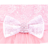 Baby Embellished Lace Detailed Tulle Gown Set
