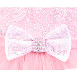 Baby Embellished Lace Detailed Tulle Gown Set
