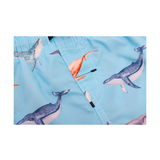 Boys Swim Trunks Toddler Swimsuit Swim Short