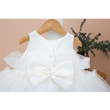 Baby Embellished Tulle Tutu Outfit Set