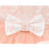 Baby Embellished Lace Detailed Tulle Gown Set