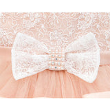Baby Embellished Lace Detailed Tulle Gown Set