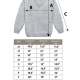 Toddler & Little Boys Classic V-Neck Knit Sweater