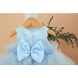 Baby Embellished Tulle Tutu Outfit Set