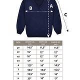 Toddler & Little Boys Classic V-Neck Knit Sweater