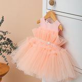 Baby Embellished Tulle Tutu Outfit Set