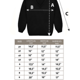 Toddler & Little Boys Classic V-Neck Knit Sweater