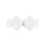 Newborn Lace Tulle Princess Gown Set