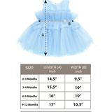 Baby Embellished Tulle Tutu Outfit Set