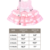 Baby Embellished Lace Detailed Tulle Gown Set