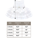 Baby Embellished Lace Detailed Tulle Gown Set
