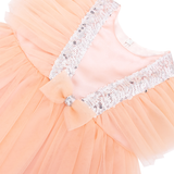 Baby Sequined Tulle Party Dress Set