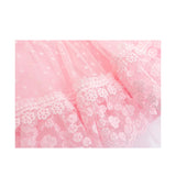 Baby Girls' Lace Floral Embroidered Christening Dress