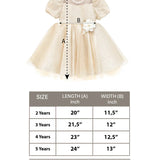 Toddler Sparkly Tulle Flower Detailed Party Dress