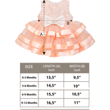 Baby Embellished Lace Detailed Tulle Gown Set