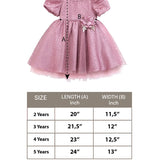 Toddler Sparkly Tulle Flower Detailed Party Dress